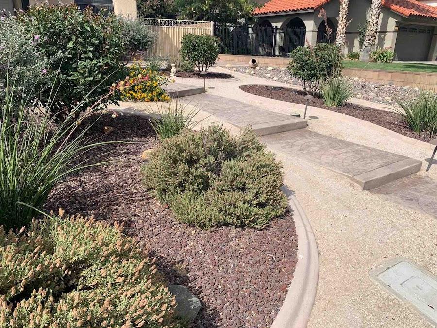 Pasadena front yard with native planting and path lighting